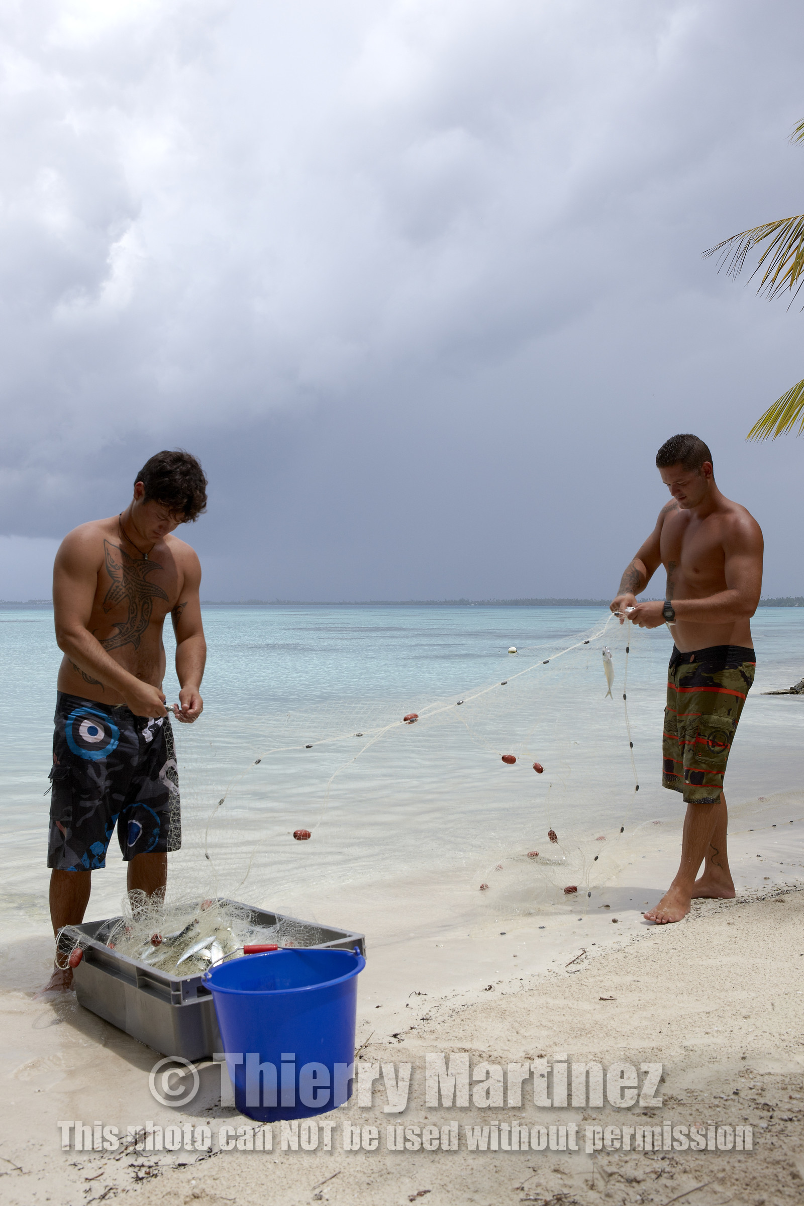 15_027568  ©ThMartinez Sea&Co.  FAKARAVA - ARCHIPEL des TUAMOTU. POLYNESIE FRANCAISE .  14 Février 2015. .