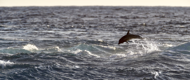 THM-18_039002_RANGIROA