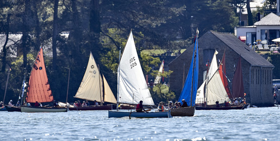 THM-17_011692-Semaine du Golfe