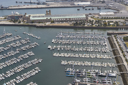 THM-20_07691_DRHEAM CUP