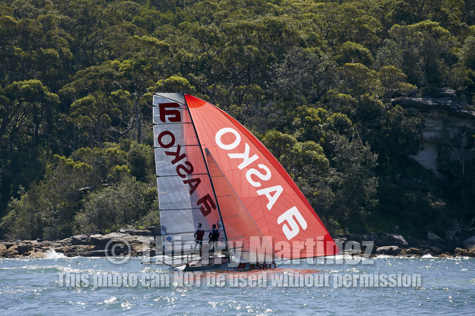 15_019211-Skiff-Sydney