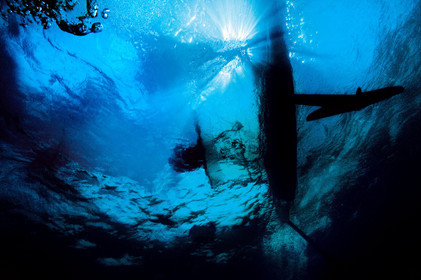 Moth International - Bladerider - Blairgowrie VICTORIA - AUSTRALIE . Feb 2007.