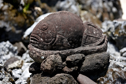 15_023951  ©ThMartinez Sea&Co.  RAIATEA - ILES SOUS LE VENT. POLYNESIE FRANCAISE .  2 Février 2015. ..