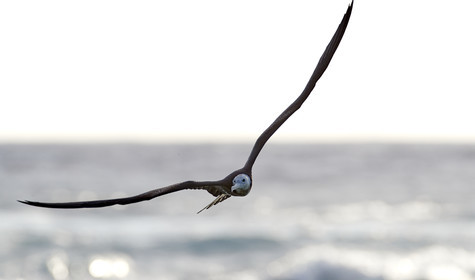 THM-18_039098_RANGIROA