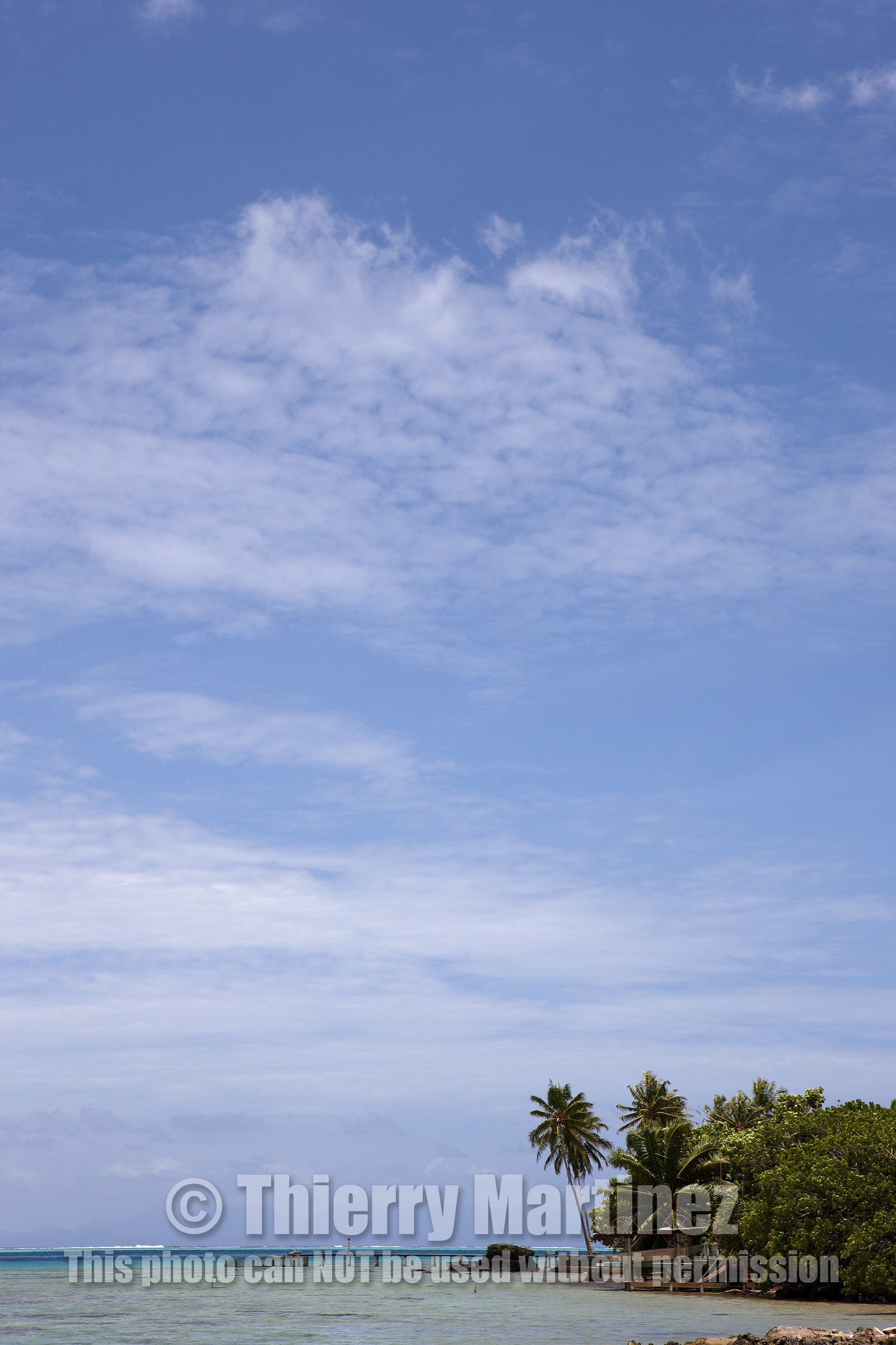 15_023300  ©ThMartinez Sea&Co.  HUAHINE - ILES SOUS LE VENT. POLYNESIE FRANCAISE . 31 January 2015. .