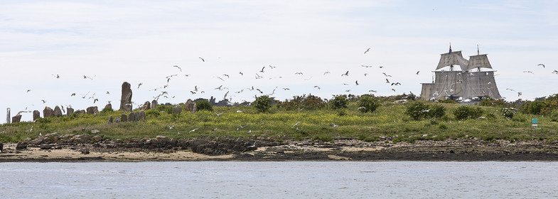 THM-17_011677-Semaine du Golfe - Parade