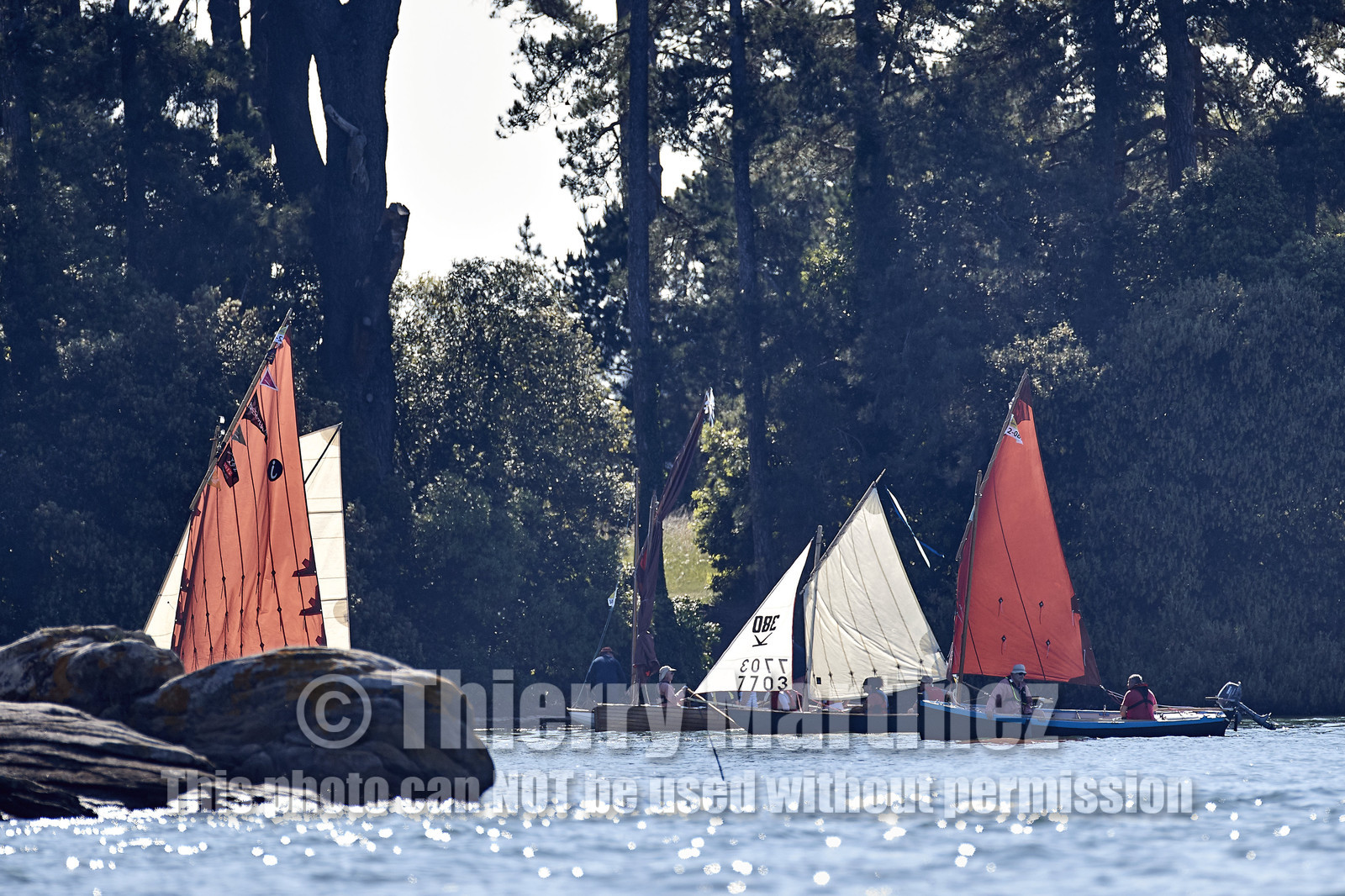 THM-17_011699-Semaine du Golfe