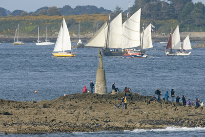 Semaine du Golfe 2015. Parade d'arrivée de la flotte.
