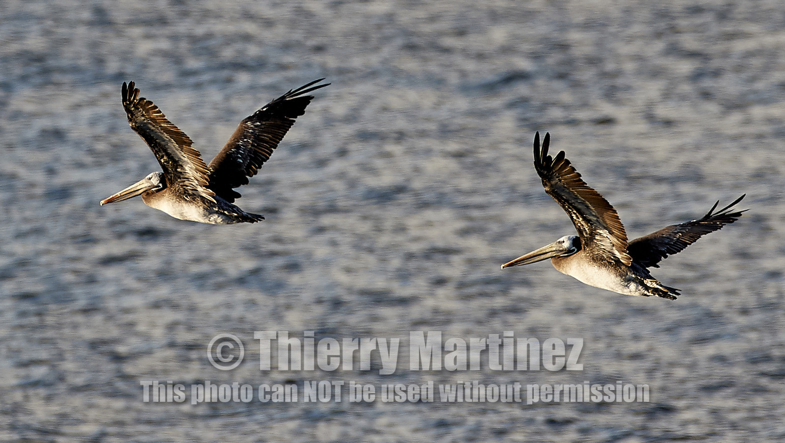 THM-18_043013_ZAPALLAR