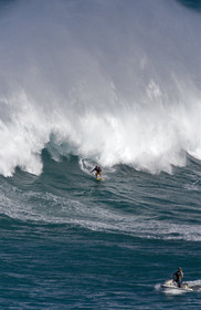 MAUI - HAWAII - USA . Jan 2007.
