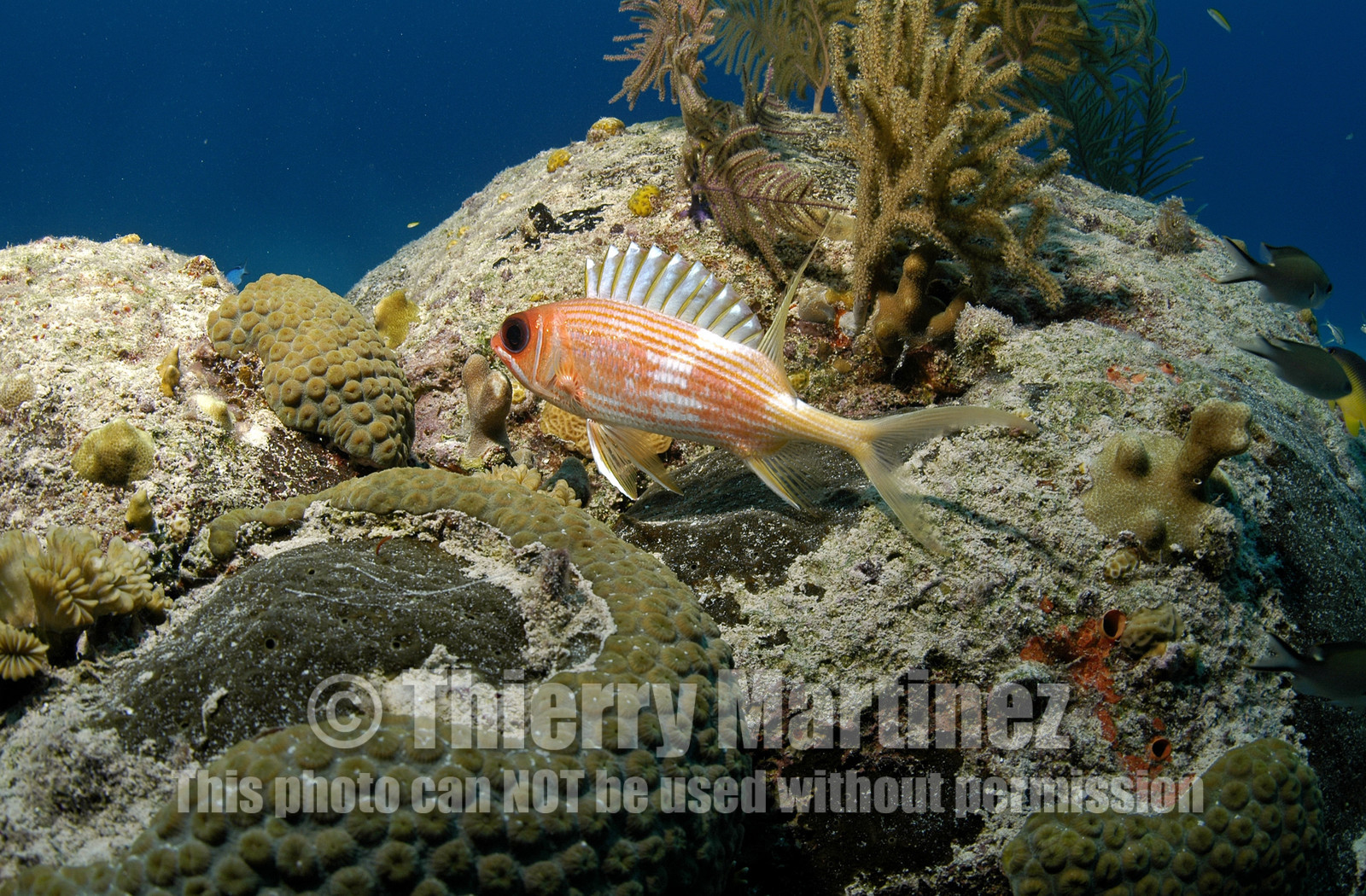 NASSAU , BAHAMAS. September 2006..