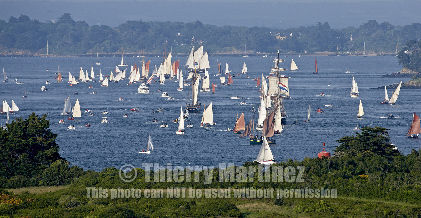 Semaine du Golfe 2015. Parade d'arrivée de la flotte.