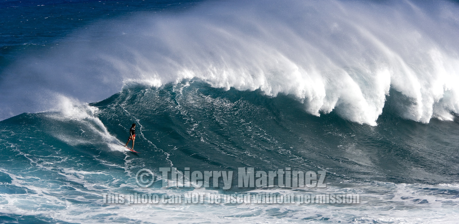 MAUI - HAWAII - USA . Jan 2007.