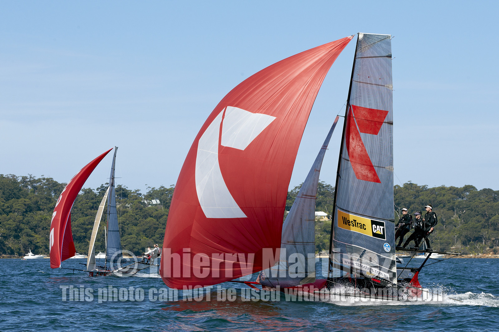 15_019720-Skiff-Sydney