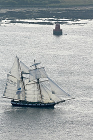 Semaine du Golfe 2015. Parade d'arrivée de la flotte.
