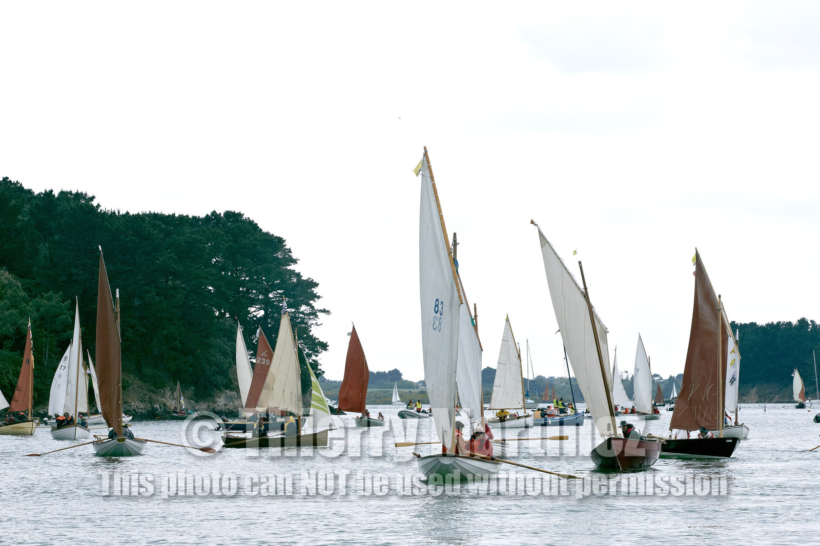 THM-15_47161-SEMAINE du Golfe
