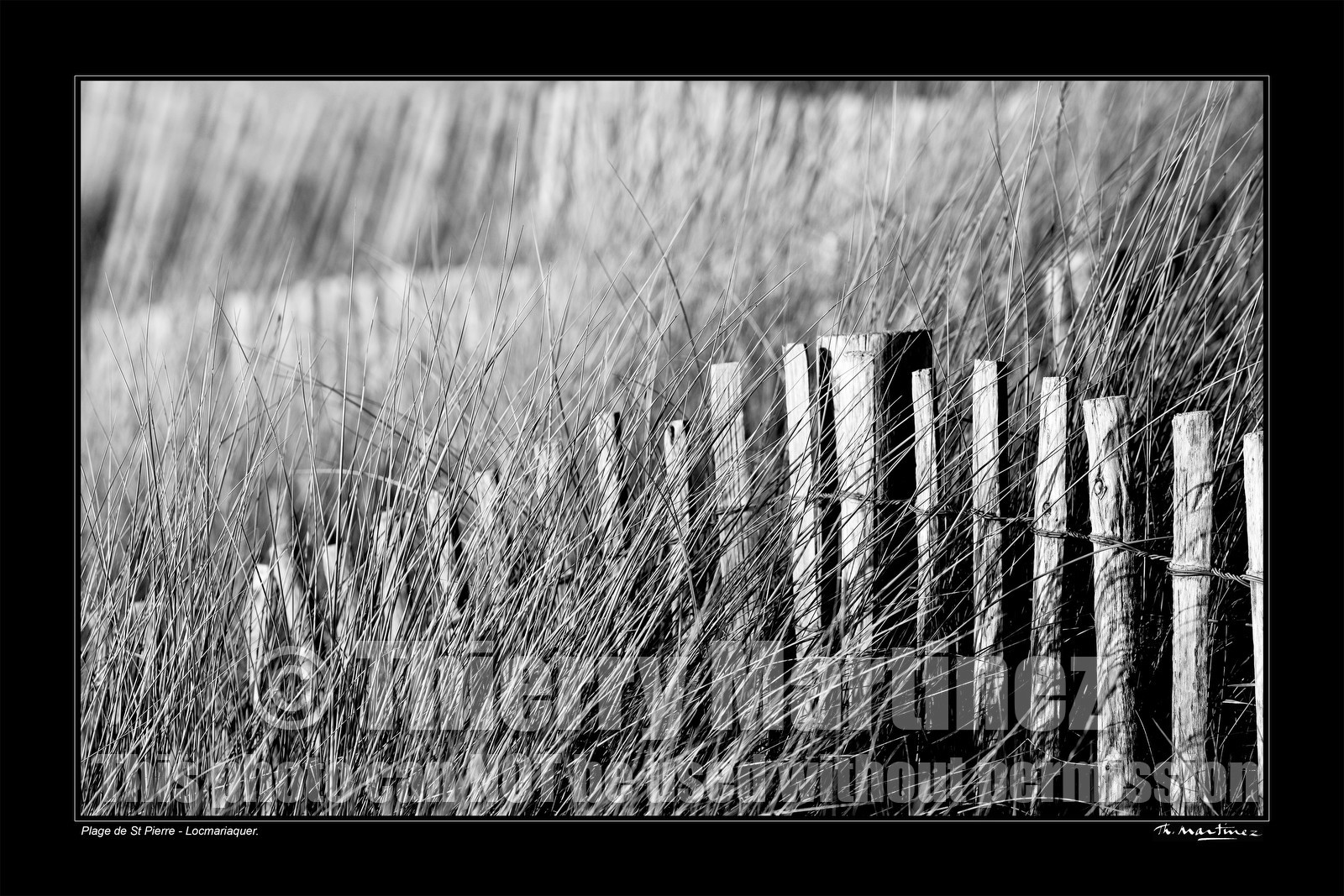 Photo disponible en tirage photo Fine Art,tirage original limités à 30 exemplaires.Chaque tirage est numéroté avec certificat d’authenticité signé.Pour choisir le format et support merci d'utiliser le caddie à coté de la photo.Formats disponibles : Tirage sur papier ( tirage seul) :  30x45 cm   40x60 cm  60x90 cm. Vous pouvez choisir le tirage avec un fond blanc ou noir , à votre convenance. Tirage sur papier contrecollé sur Dibond ( pas de bord blanc ou noir autour de l'image), avec système d'attache au dos:  30x45 cm   40x60 cm  50x75 cm  80x120cm.Tirage sur toile ( Canvas) monté sur chassis bois (pas de bord blanc ou noir autour de l'image), avec système d'attache au dos :  50x75 cm  80x120cm.Expédition ( Dans le monde entier): Colissimo (assurance) avec signature à réception. 48h pour la France métropolitaine.Il est possible de récupérer les tirages à La Galerie du Golfe (sans frais d'expèdition).Conditionnement tirages seuls: tube cylindrique renforcé + boite.