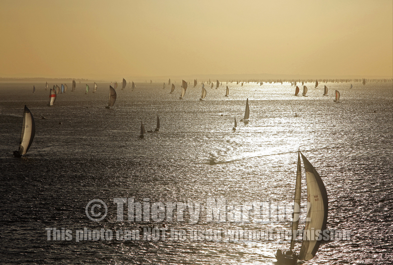 JP Morgan Asset Management Round The Island Race. 19 June 2010.