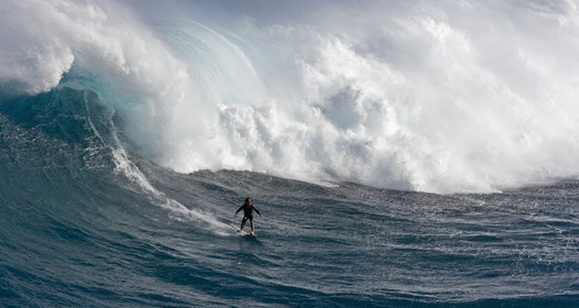 MAUI - HAWAII - USA . Jan 2007.