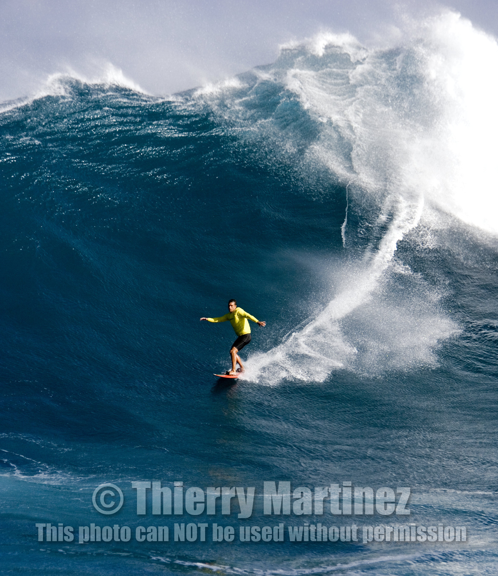 MAUI - HAWAII - USA . Jan 2007.
