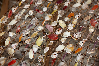 15_027809  ©ThMartinez Sea&Co.  FAKARAVA - ARCHIPEL des TUAMOTU. POLYNESIE FRANCAISE .  14 Février 2015. .