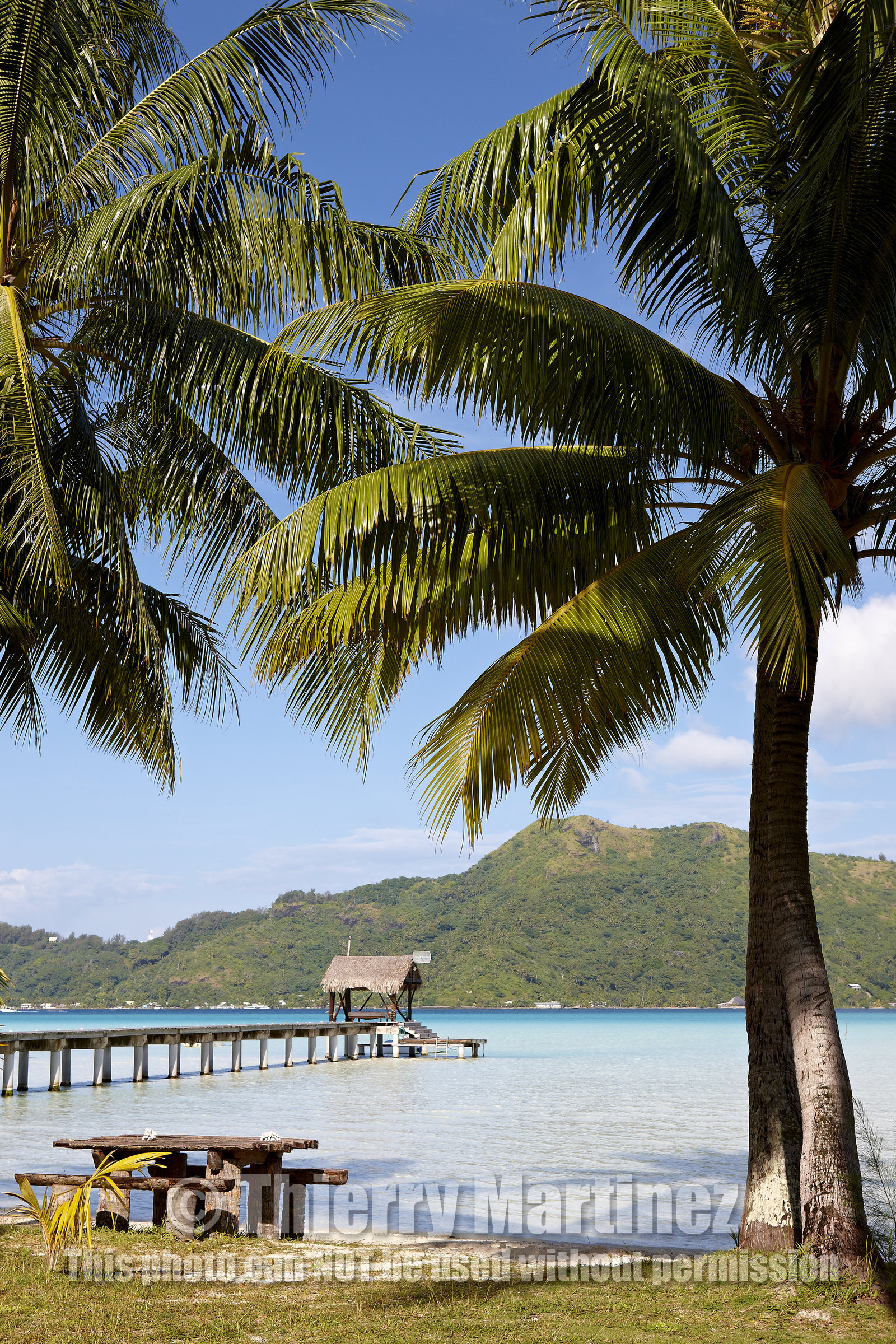 15_025867  ©ThMartinez Sea&Co.  BORA BORA - ILES SOUS LE VENT. POLYNESIE FRANCAISE .  6 Février 2015. . Bora Bora depuis Eden Beach Bora Bora..