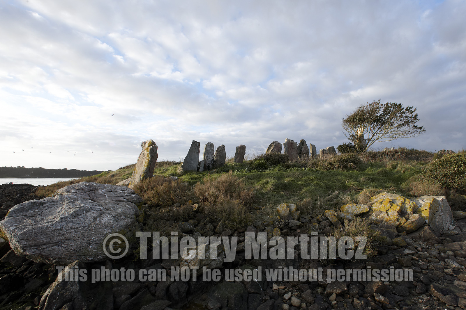 13_03233 Golfe du Morbihan