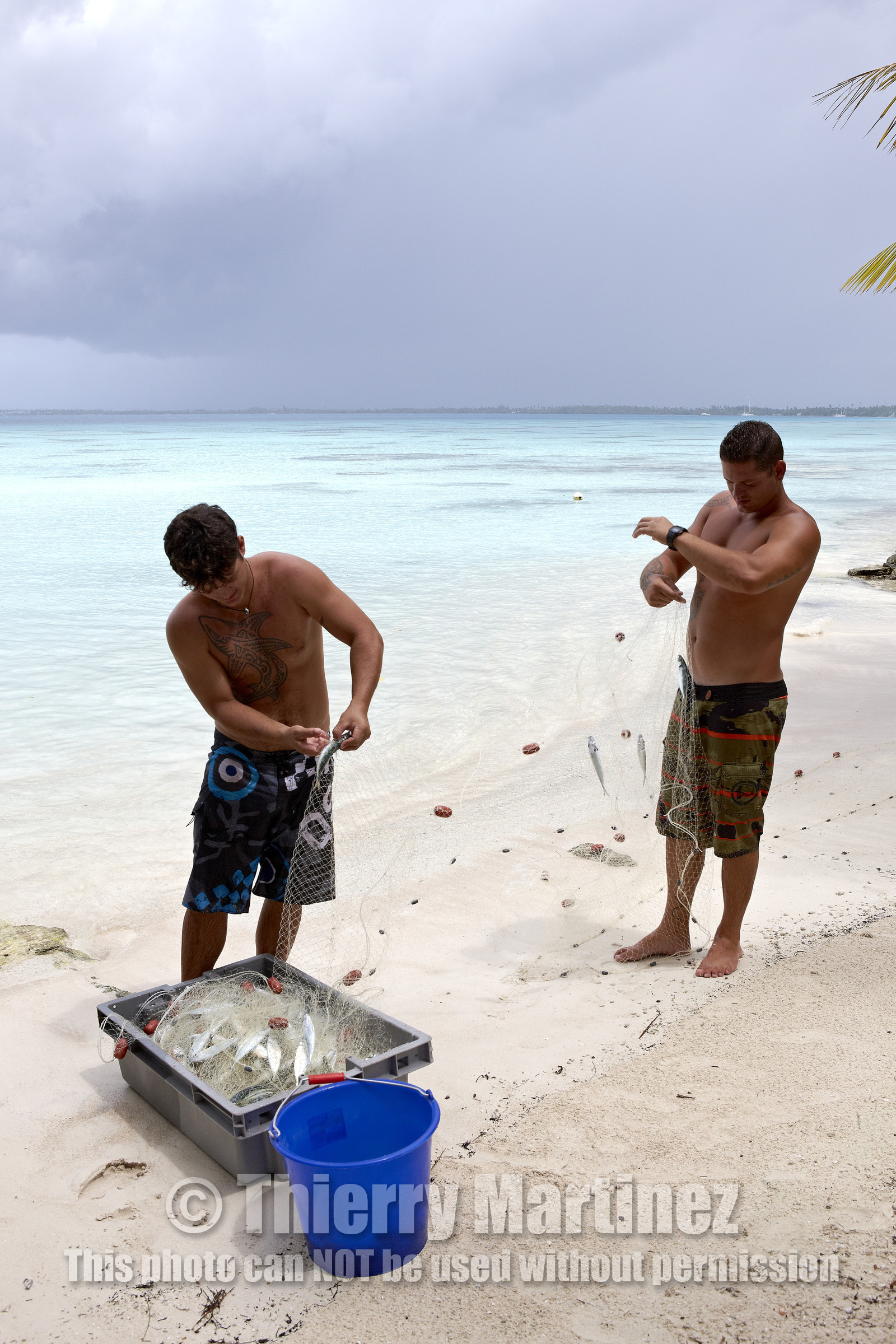 15_027561  ©ThMartinez Sea&Co.  FAKARAVA - ARCHIPEL des TUAMOTU. POLYNESIE FRANCAISE .  14 Février 2015. .