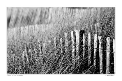 Photo disponible en tirage photo Fine Art,tirage original limités à 30 exemplaires.Chaque tirage est numéroté avec certificat d’authenticité signé.Pour choisir le format et support merci d'utiliser le caddie à coté de la photo.Formats disponibles : Tirage sur papier ( tirage seul) :  30x45 cm   40x60 cm  60x90 cm. Vous pouvez choisir le tirage avec un fond blanc ou noir , à votre convenance. Tirage sur papier contrecollé sur Dibond ( pas de bord blanc ou noir autour de l'image), avec système d'attache au dos:  30x45 cm   40x60 cm  50x75 cm  80x120cm.Tirage sur toile ( Canvas) monté sur chassis bois (pas de bord blanc ou noir autour de l'image), avec système d'attache au dos :  50x75 cm  80x120cm.Expédition ( Dans le monde entier): Colissimo (assurance) avec signature à réception. 48h pour la France métropolitaine.Il est possible de récupérer les tirages à La Galerie du Golfe (sans frais d'expèdition).Conditionnement tirages seuls: tube cylindrique renforcé + boite.