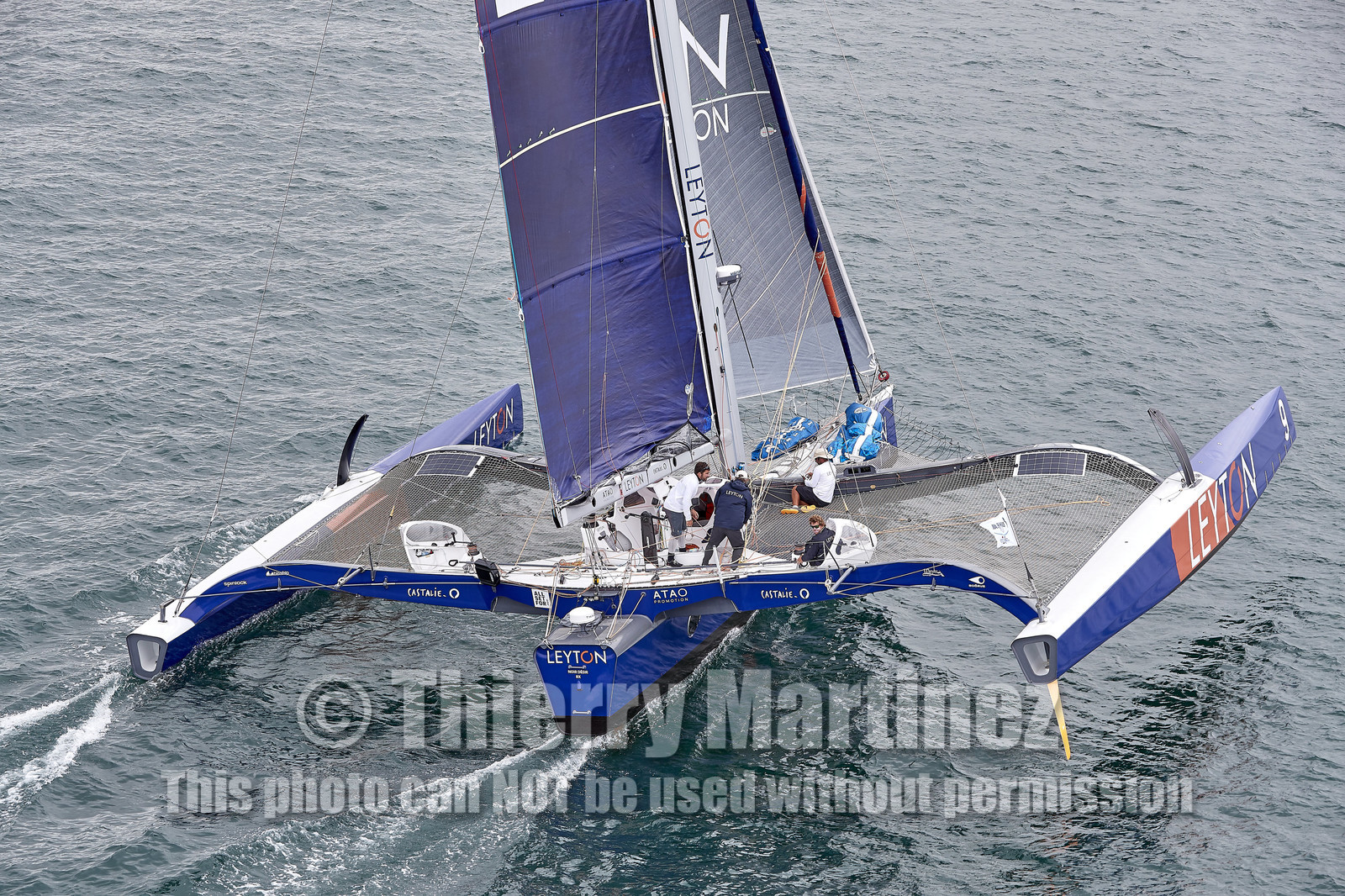 THM-20_09877_DRHEAM CUP