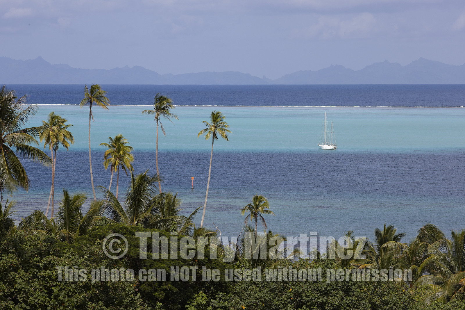 15_024396  ©ThMartinez Sea&Co.  RAIATEA - ILES SOUS LE VENT. POLYNESIE FRANCAISE .  2 Février 2015. ..