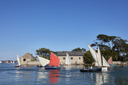 THM-17_011871-Semaine du Golfe