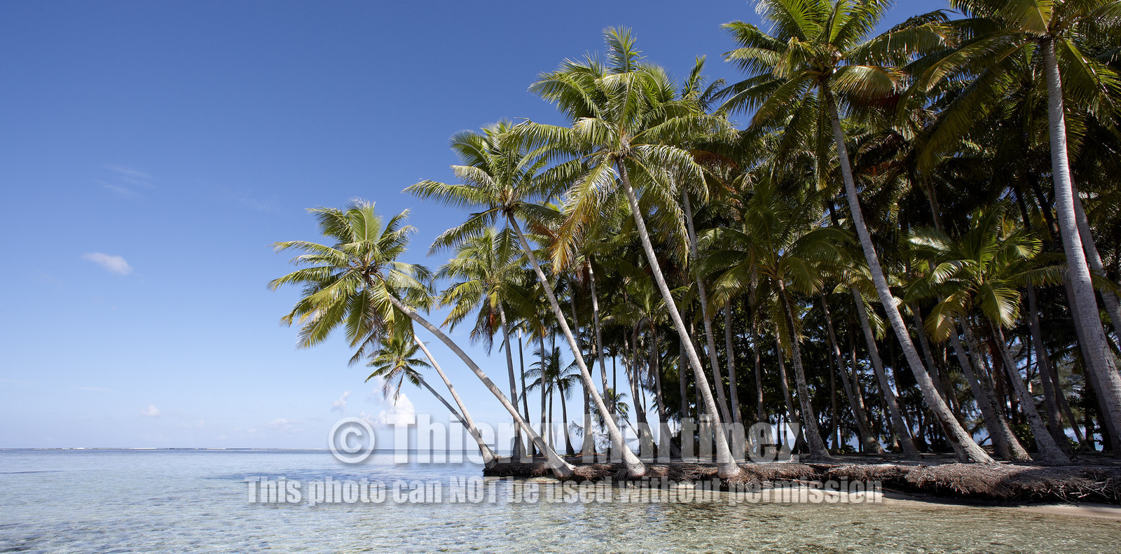 15_024830  ©ThMartinez Sea&Co.  RAIATEA - ILES SOUS LE VENT. POLYNESIE FRANCAISE .  2 Février 2015. ..MOTU dans le lagon de Raiatea.