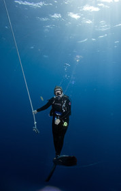 DIVING IN BAHAMAS. Dec 2006.