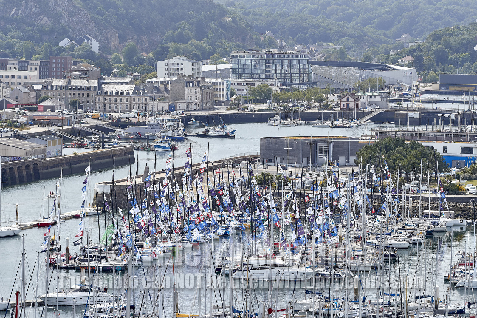 THM-20_08421_DRHEAM CUP