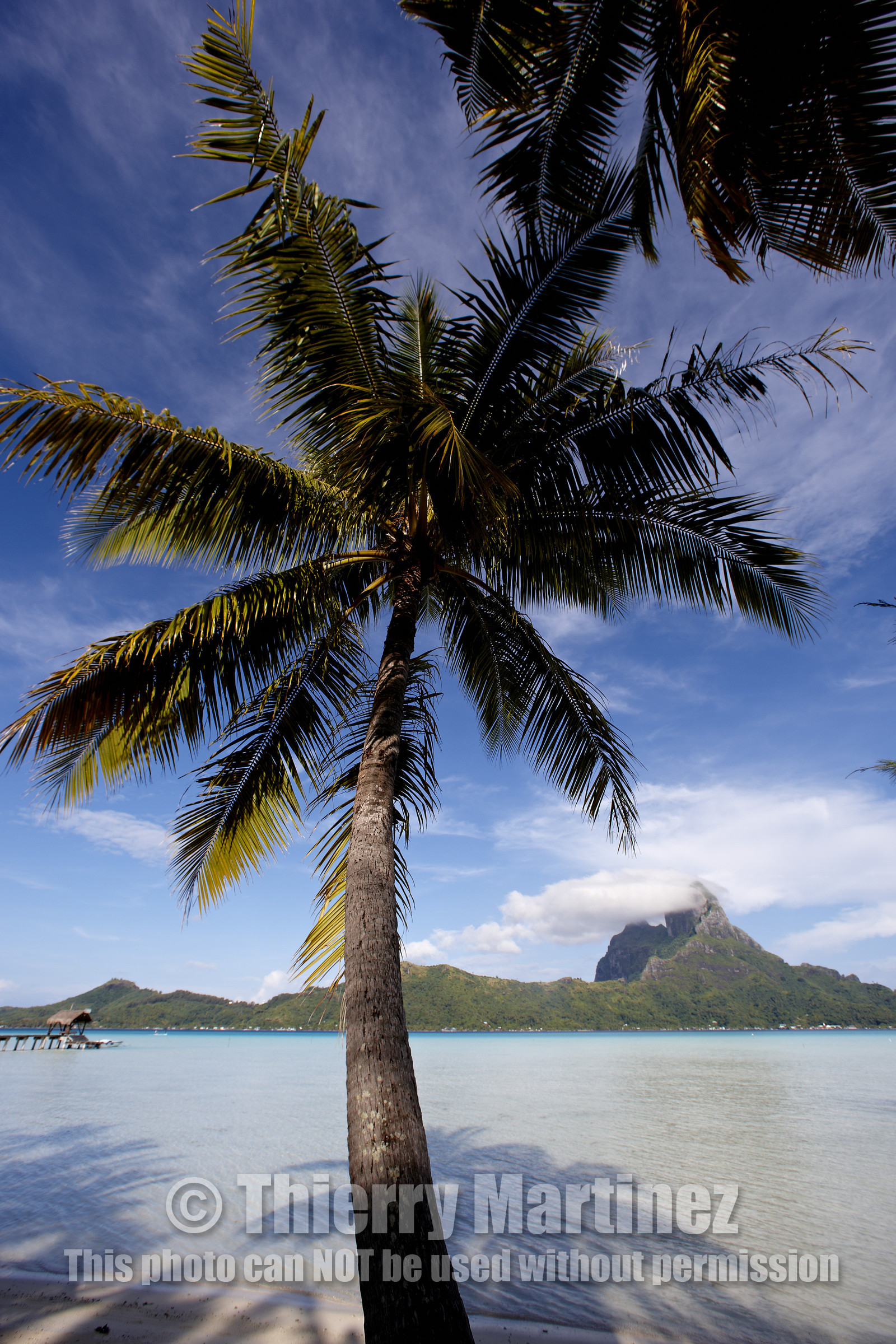 15_025865  ©ThMartinez Sea&Co.  BORA BORA - ILES SOUS LE VENT. POLYNESIE FRANCAISE .  6 Février 2015. . Bora Bora depuis Eden Beach Bora Bora..