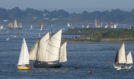 Semaine du Golfe 2015. Parade d'arrivée de la flotte.