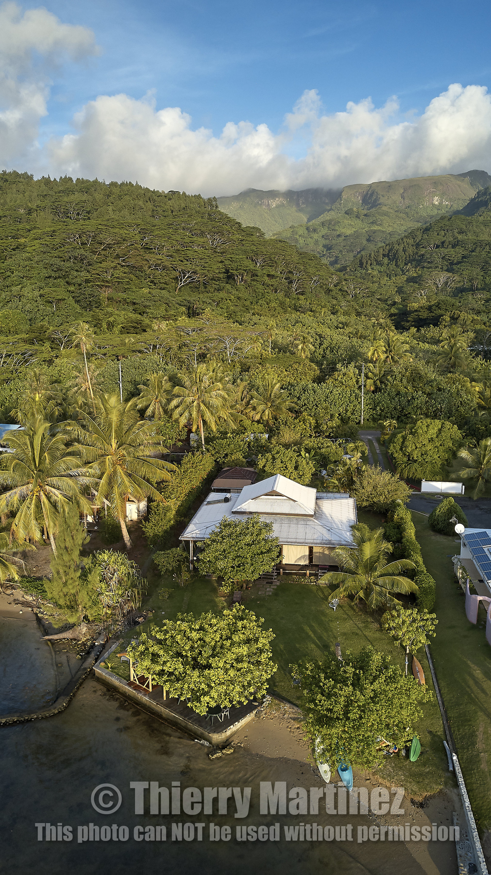 THM-18_038046_TEMEHANI