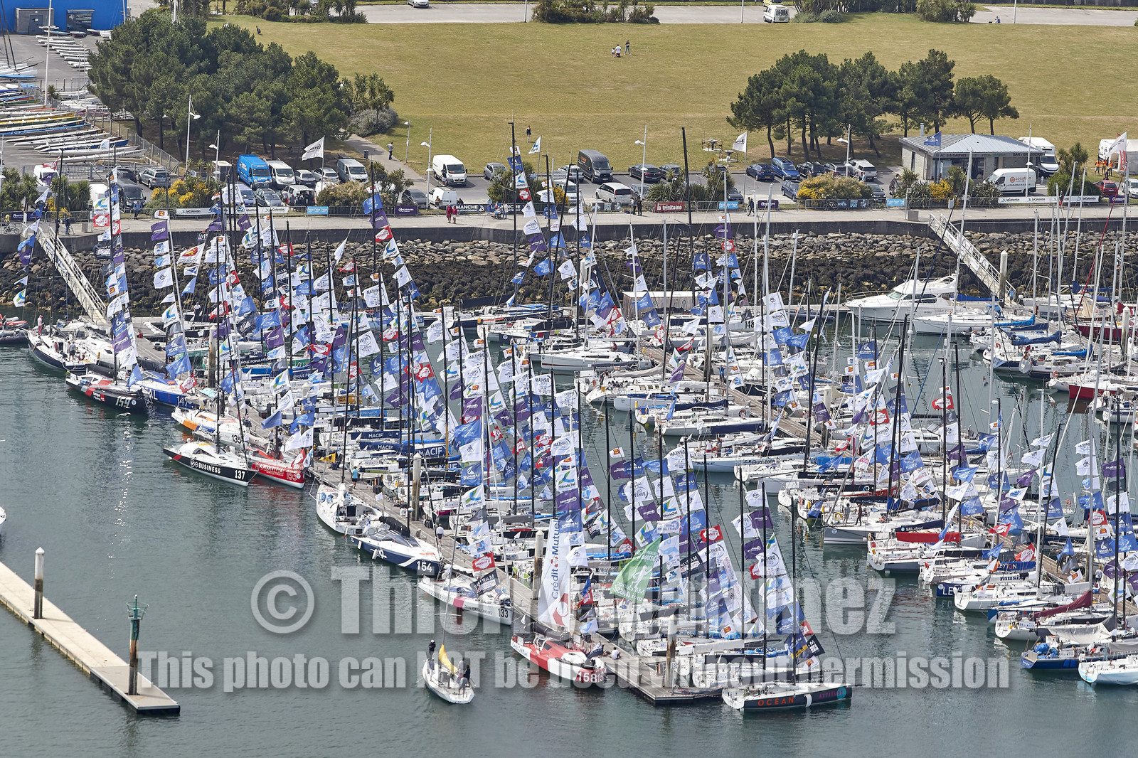 THM-20_08388_DRHEAM CUP