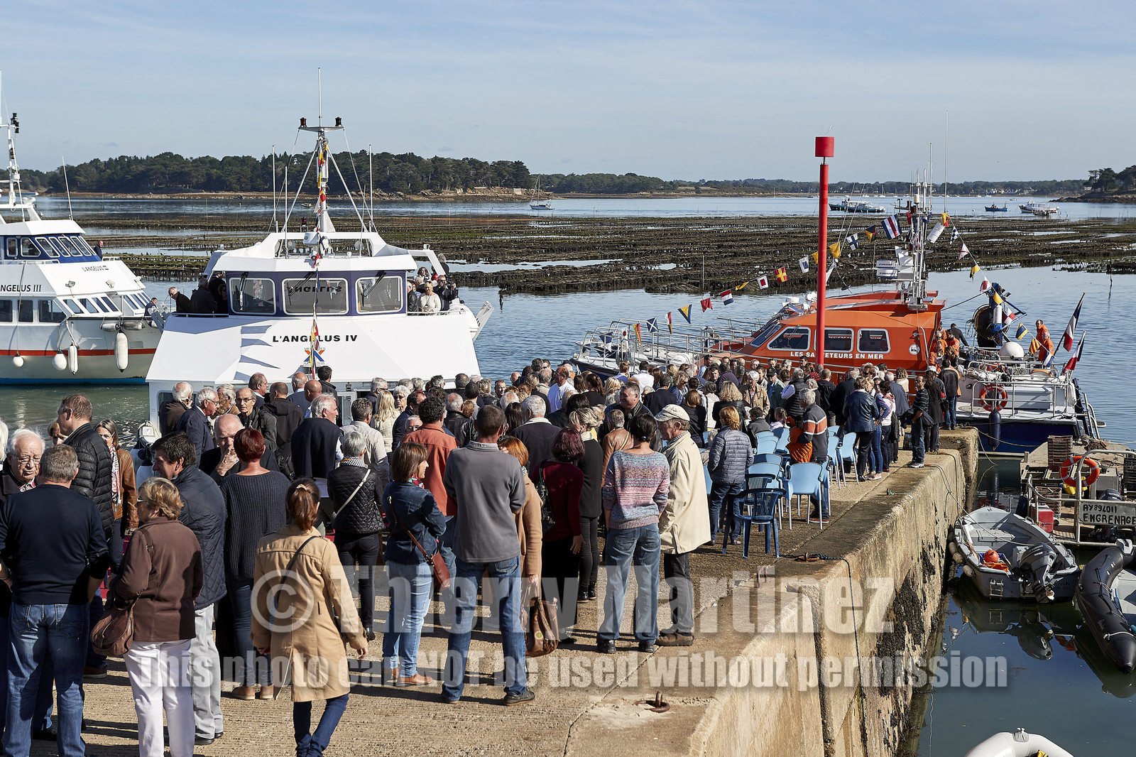 THM-17_085875-AGENLUS IV