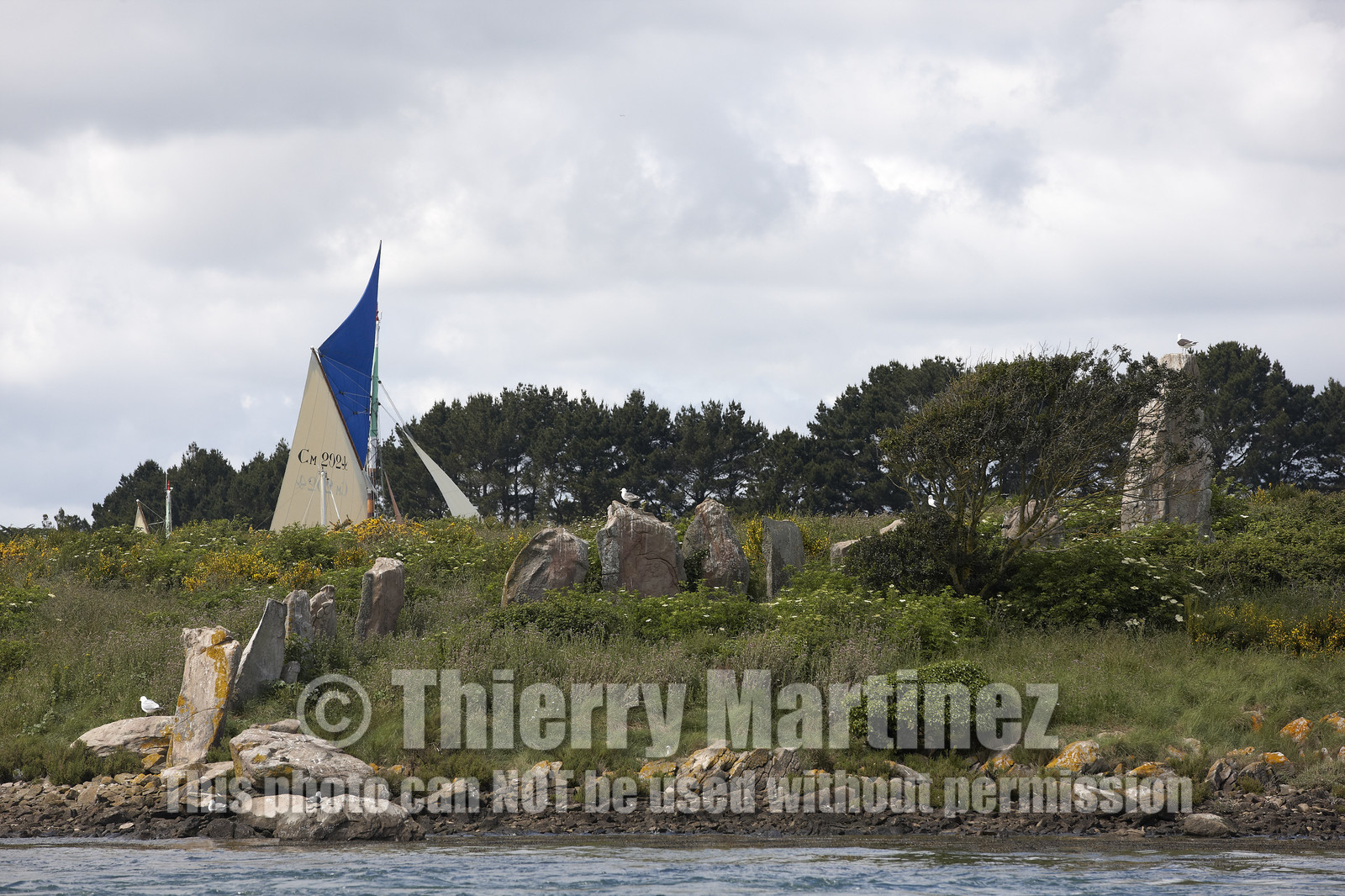 THM-15_48624-SEMAINE du Golfe