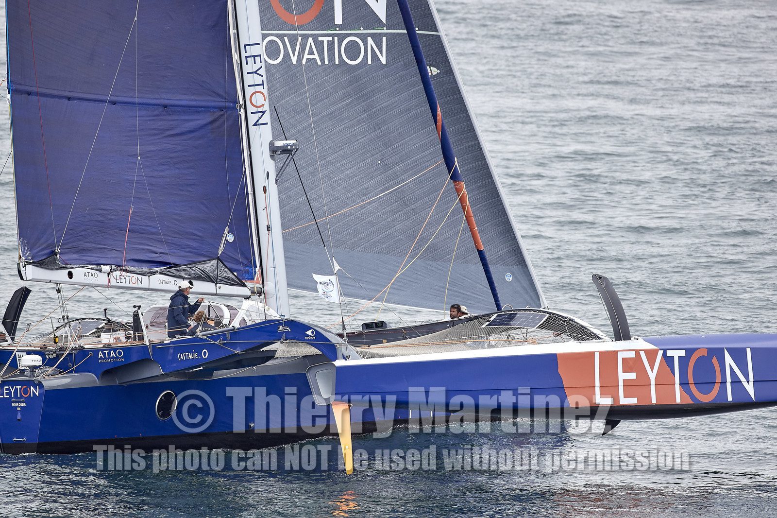 THM-20_10641_DRHEAM CUP