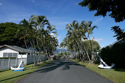 2013 McDOUGALL+McCONAGHY Moth Worlds - Kaneohe Bay - Hawaii -USA . October 2013