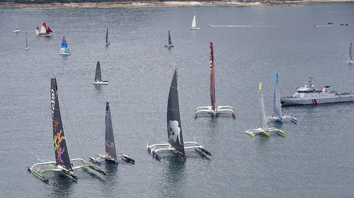 THM-20_09130_DRHEAM CUP