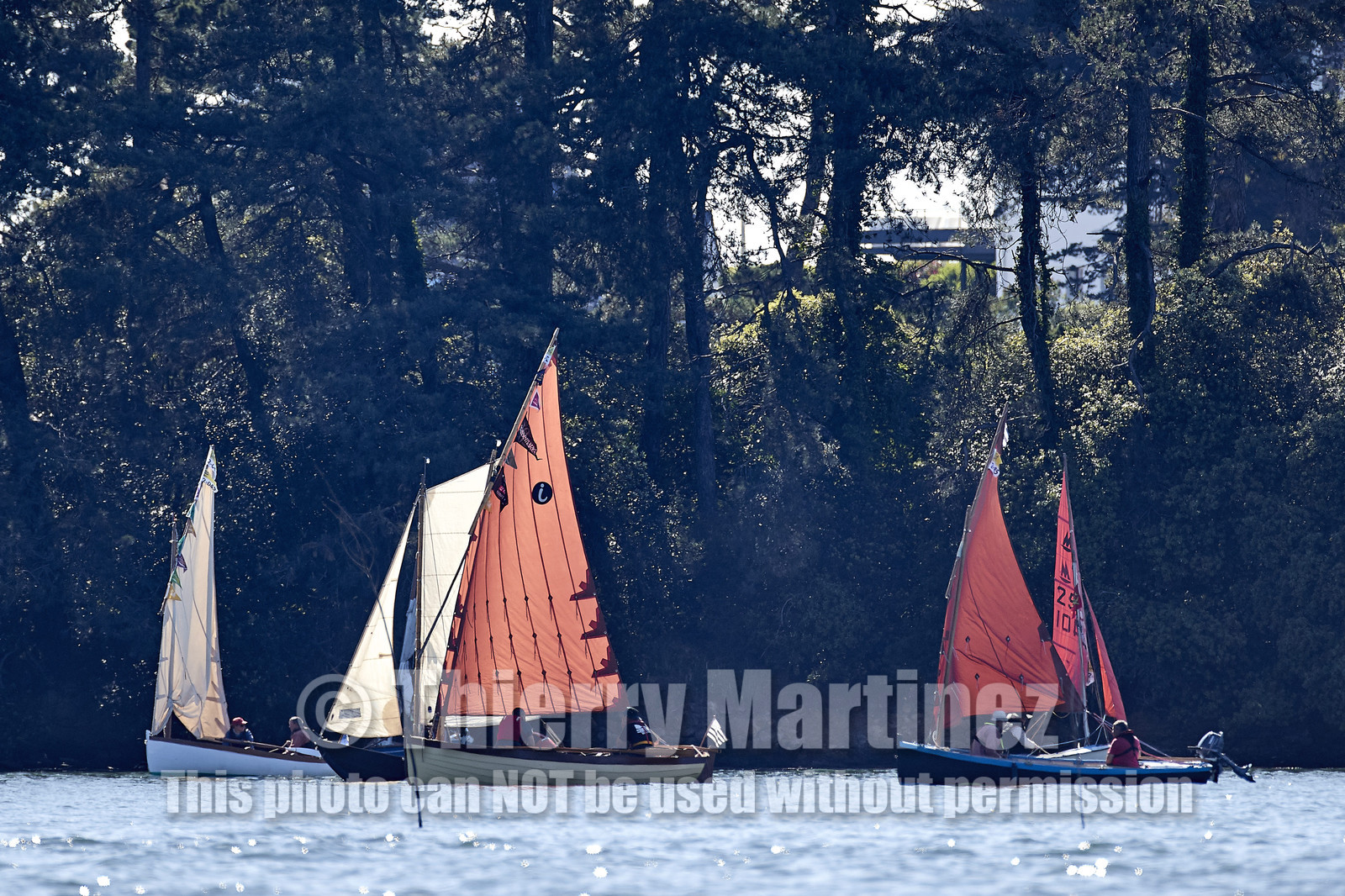 THM-17_011695-Semaine du Golfe