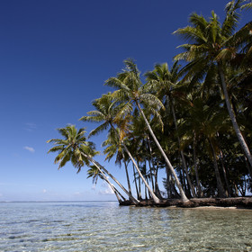 15_024829  ©ThMartinez Sea&Co.  RAIATEA - ILES SOUS LE VENT. POLYNESIE FRANCAISE .  2 Février 2015. ..