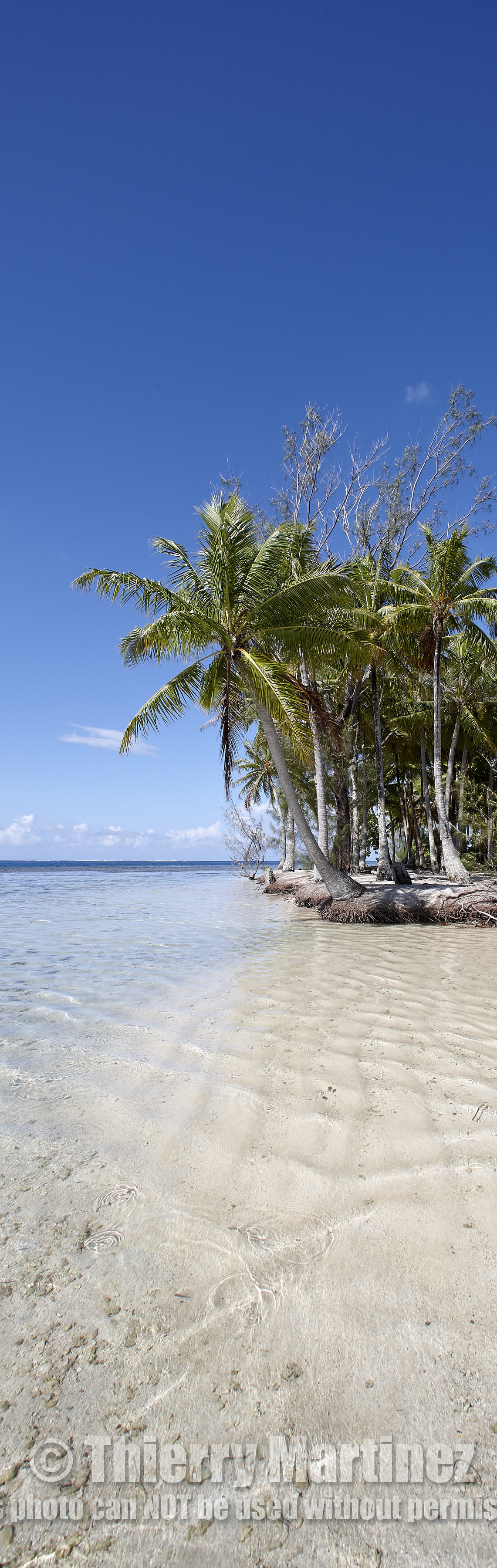 15_024876  ©ThMartinez Sea&Co.  RAIATEA - ILES SOUS LE VENT. POLYNESIE FRANCAISE .  2 Février 2015. ..MOTU dans le lagon de Raiatea.
