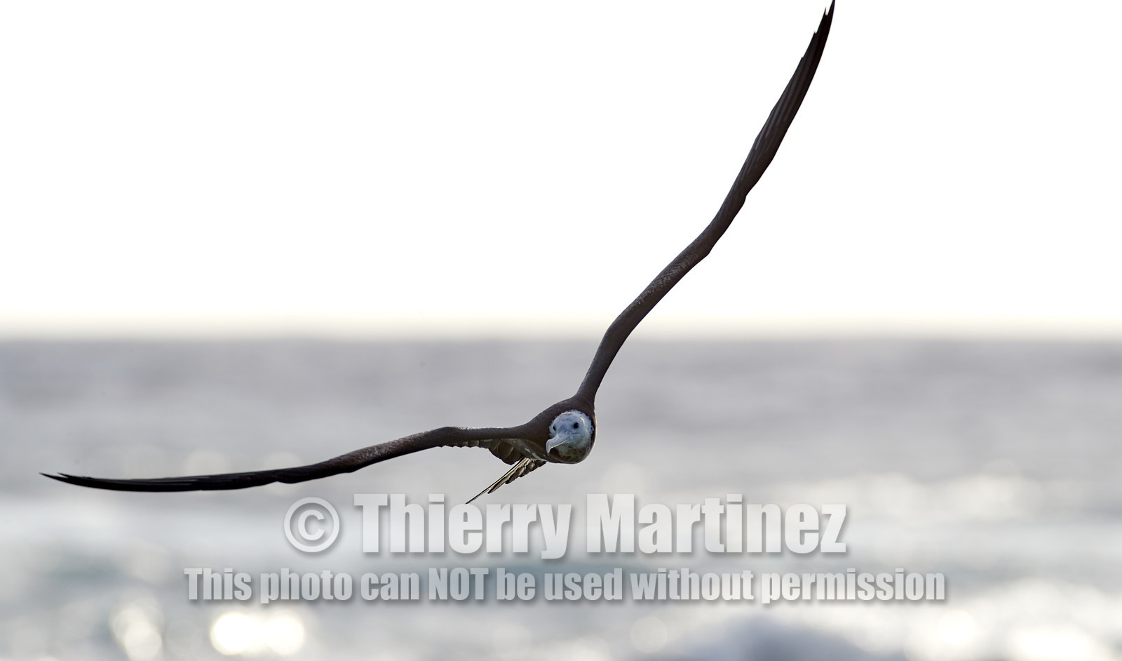 THM-18_039098_RANGIROA