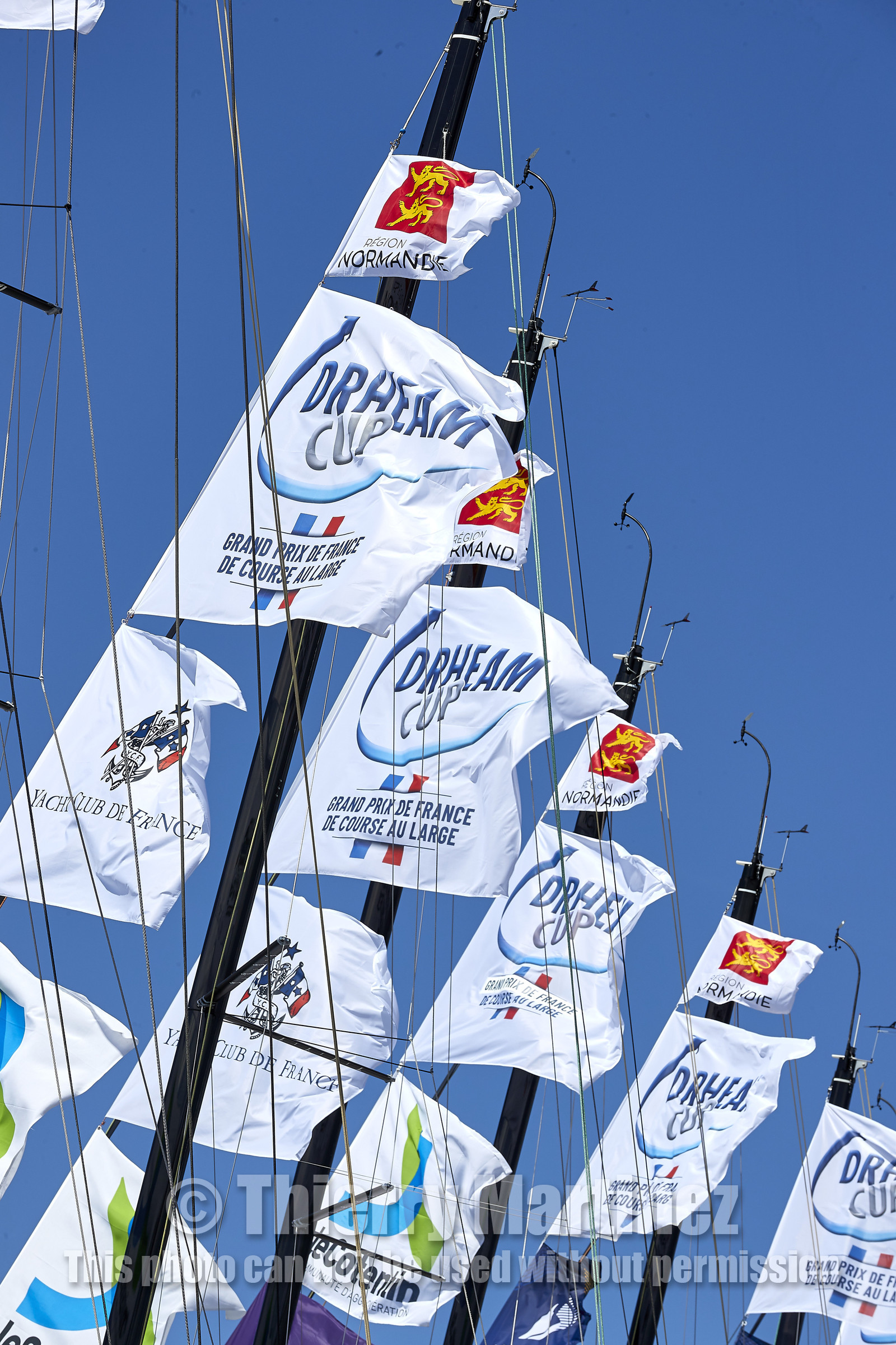 THM-20_08560_DRHEAM CUP