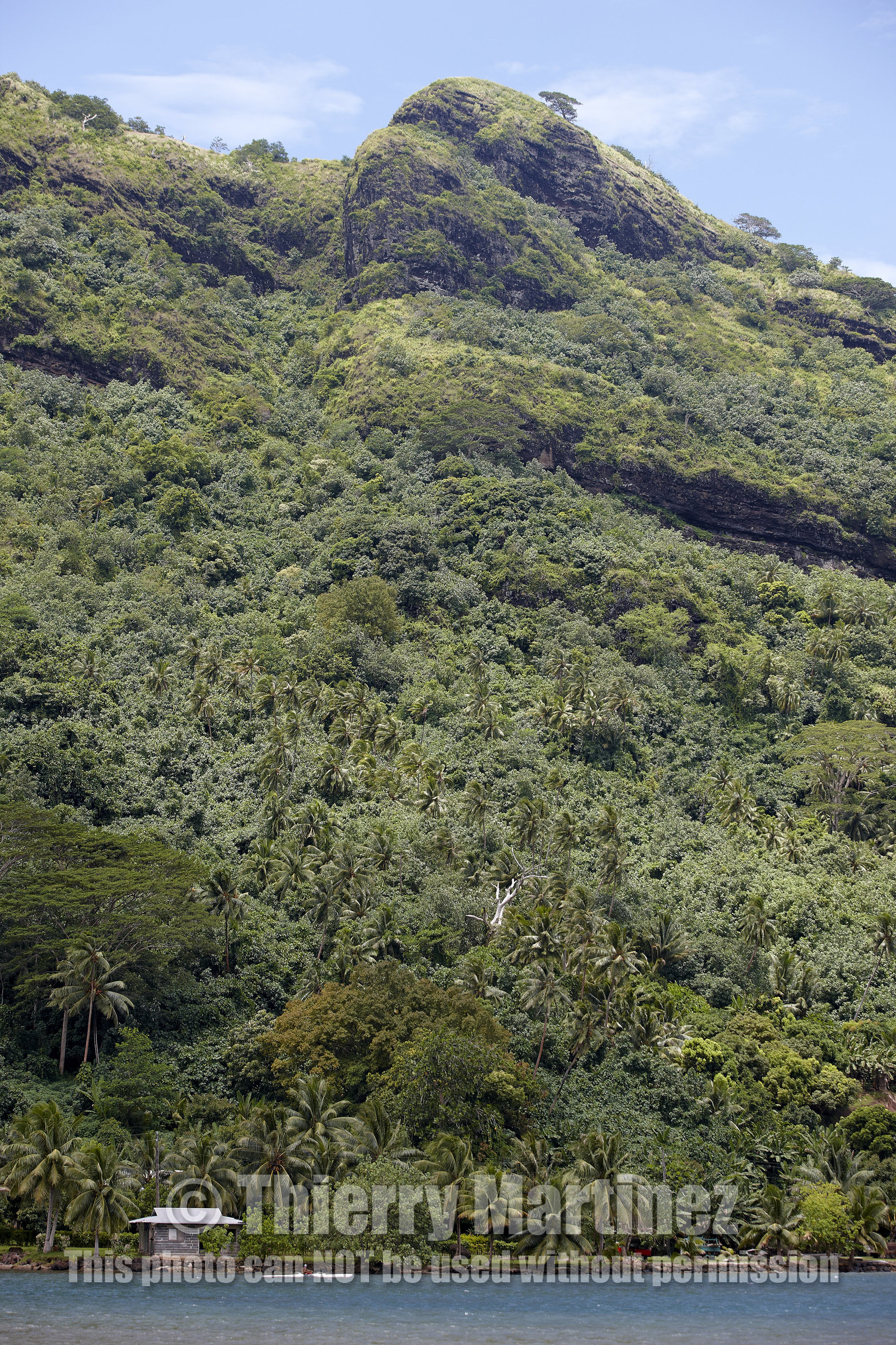 15_023352  ©ThMartinez Sea&Co.  HUAHINE - ILES SOUS LE VENT. POLYNESIE FRANCAISE . 31 January 2015. .